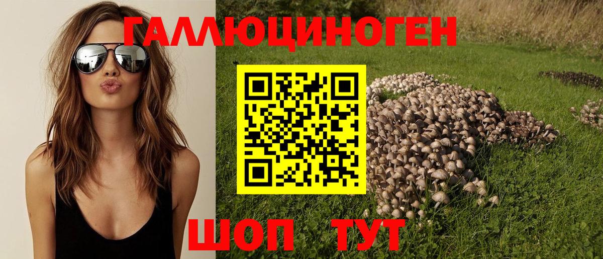 Сертолово  Псилоцибиновые грибы Cubensis  наркошоп  Вход с VPN 